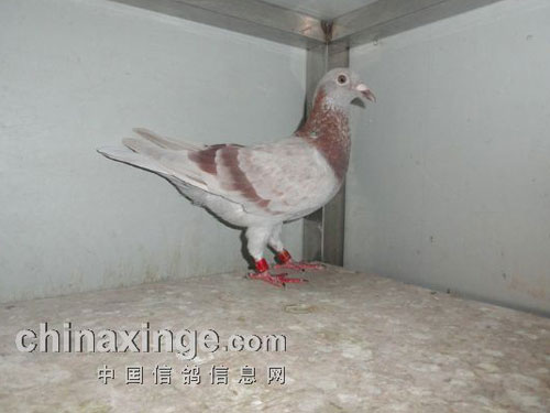 ������������ ����Ȱ���˷�Ǯ(ͼ)