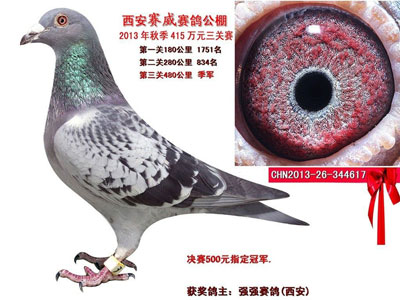 ���������������룺�ɸ�����ھ�(ͼ)