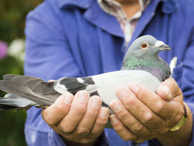 ����ʱ���ɿ˹���������8436��(ͼ)