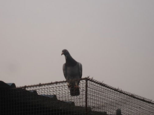 ����ٹ������ط����ھ�