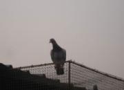 ����ٹ������ط����ھ�