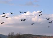 ͵��ʴ�ף����벻�ɷ������߰���