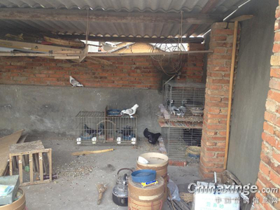 ���޸��᣺���ѱ䡰��������(ͼ)