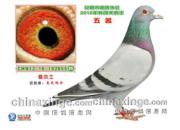 ���Ҹ����������������͸���(ͼ)