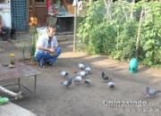 Ц����Ӯ�������ʮ�����ǰ��(ͼ)