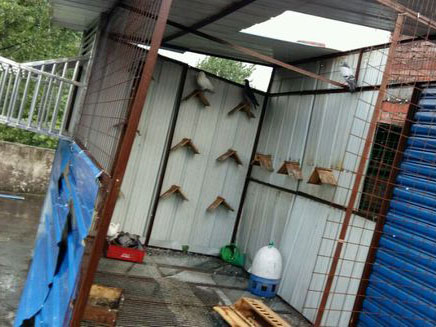 һ����������Ƹ��(ͼ)