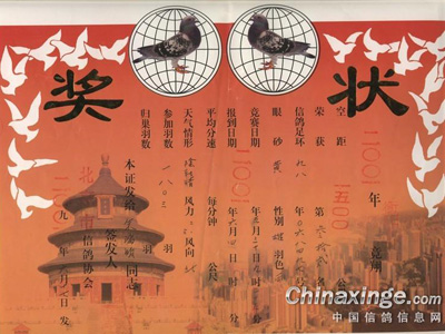 ����ɹ������룺����17��ǧ����(ͼ)