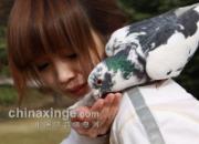 ��Ů���� ������Ȥ