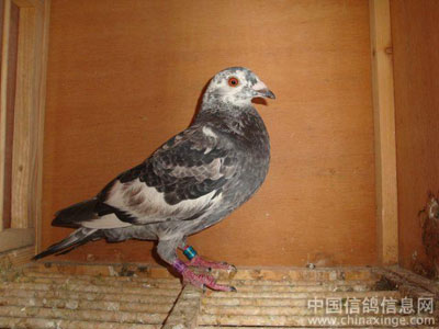 �ð���ȹ����Ѱ��Ļ�����