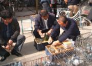 �뷷˵���������Ļ�û����