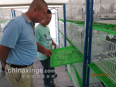 ʢ���߽�������������(ͼ)