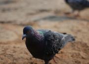 ׷�䣺ͯ��ʱ�ĸ�����