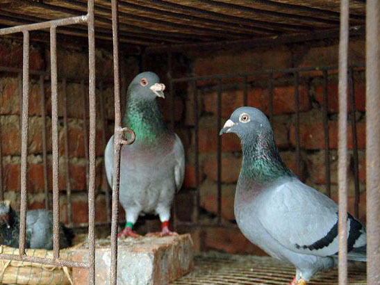 ���벢��һ���£�ȫ�ҷ���ֻ������