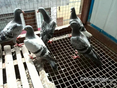 �����״��ʹ��� ������ϣ����