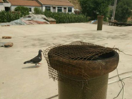 ���ȸ�����̴� �������ƹ�������(ͼ)