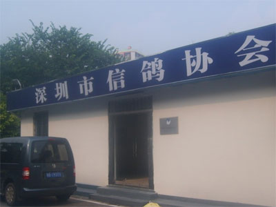 ���ڸ���������罫��ǿ��