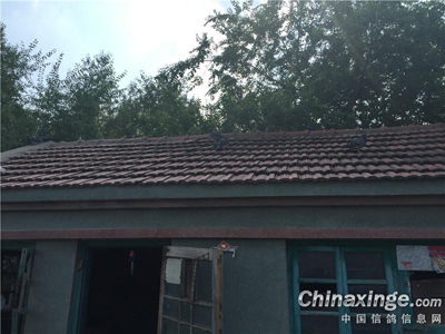 �Ƹ룡ª�ᣡ��ÿ��֣�