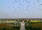 �߽������������ʹ���(ͼ)