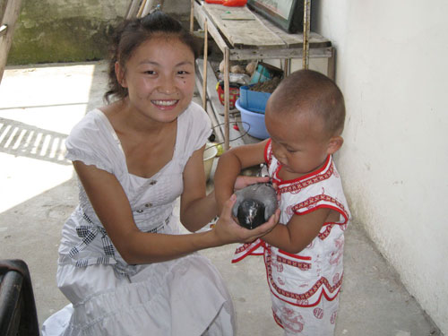 ϱ�����æ�������δ��Ͷ�� 