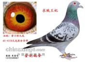 ������Զ��·�ϣ��ø벻�»�Ѫ(ͼ)