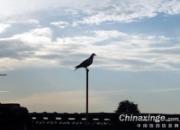 ��������£�����ª����׸�(ͼ)