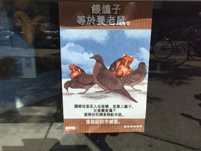 ŦԼ��ι���ӵ���������(ͼ) 