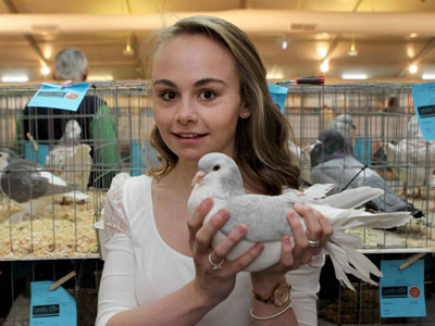 �Ĵ����Ǹ�չ����¼��3000��87��Ʒ�ֲ�չ(ͼ)