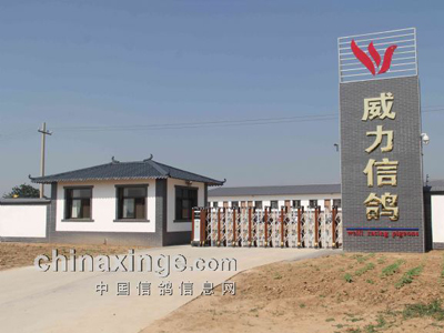 ����ʡ�����ָ����������(ͼ)