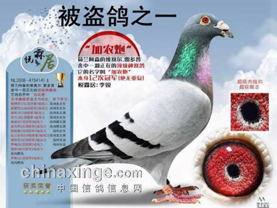 ��������32��߼��ָ뱻�� ����������Ѱ(ͼ)