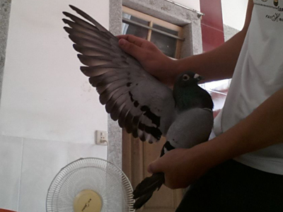 ����Ʒ�������������ѵľ�Ӣ��(ͼ)