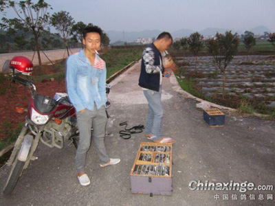 �峿�š�������