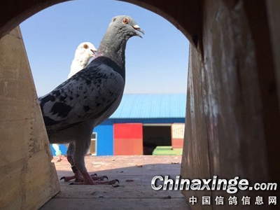 �����¸�����ճ������(ͼ)