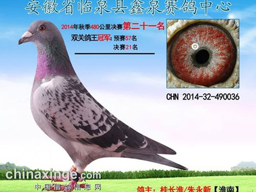 Բ�Σ����������Ĺ������(ͼ)