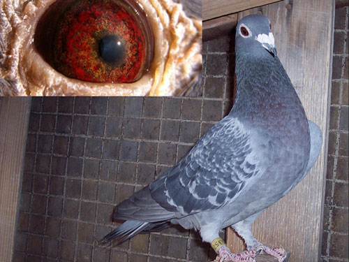 96��1500����ھ��ϴ�����(ͼ)