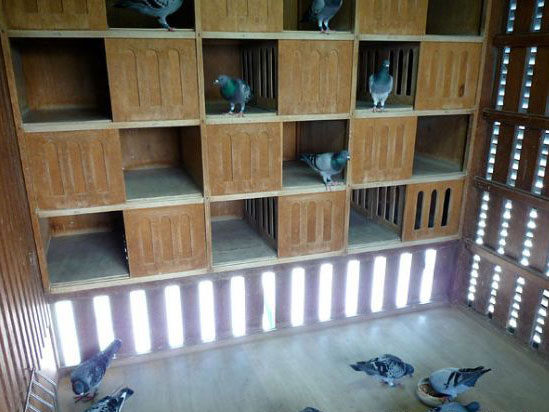 ְҵ����ġ����ܡ�