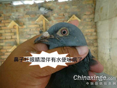 �������������ɶ����(ͼ)