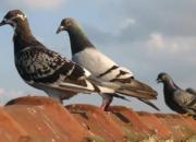 ͷ�ۣ��������ﶼ���š�ȡ����