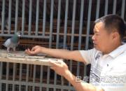 ����죺�����׸���ս����Ӯ��Ԫ(ͼ)