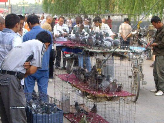 ���������ڡ����������