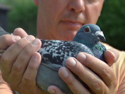 ŷ�޹������չ�վ����Ʒ������15937��ŷ�