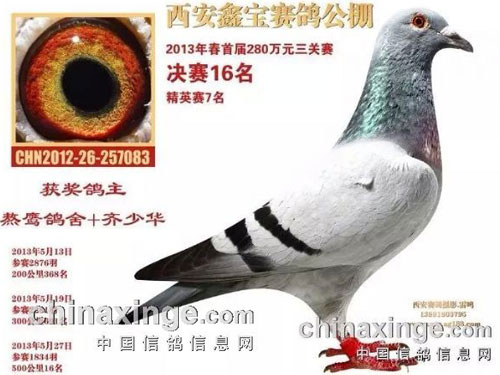齐少华：除了打公棚 还爱唱歌(图)