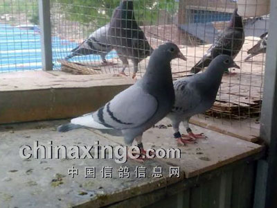 ʮ��ĥһ�����ɾͽ�����