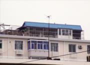 �Ÿ뱻�� ����������