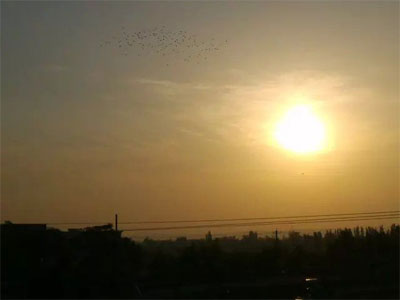 ʫ��һ�ף�����