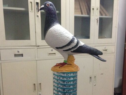 ��ĺ��𣺽������Ҳ������(ͼ)