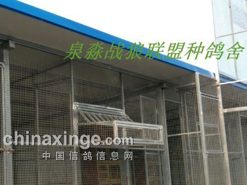 ��ս�������������� ӭ�ϸ�(ͼ)