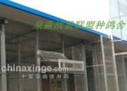 ��ս�������������� ӭ�ϸ�(ͼ)