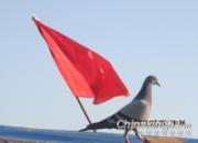 ������������³��δ��