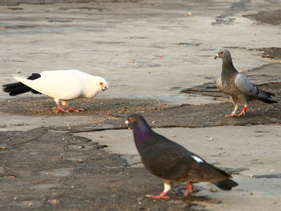 ��㾭�飺������׸벻����