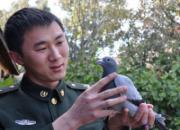 ��һ���磺�й�����Ϊ�β����磿